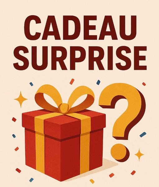Cadeau Surprise Mystère