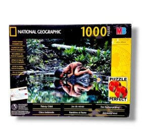 1000 Piece - Jigsaw Puzzle