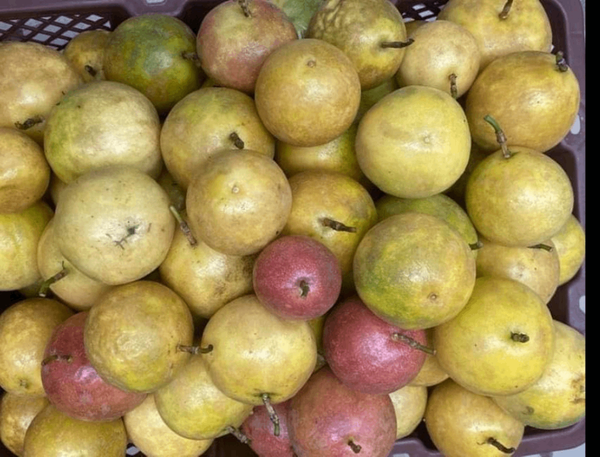 Fruits de la passion frais