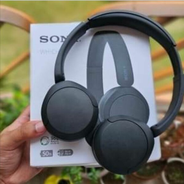 Sony-wh-ch520