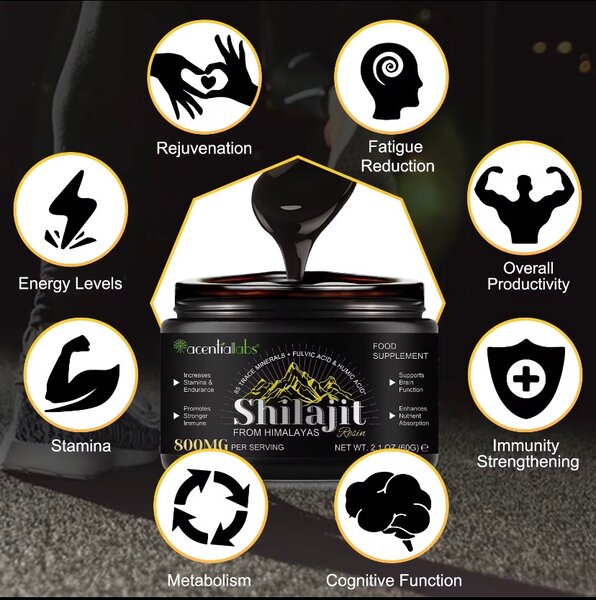Résine de Shilajit des Himalayas