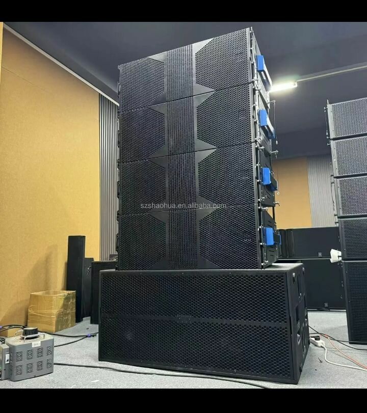 Système de sonorisation professionnel