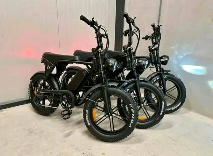 Vélos électriques tout-terrain puissants