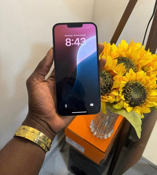 iPhone 13 Pro Max 128GB Factory Unlocked