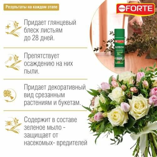 Блеск для ЛИСТЬЕВ, 500 мл