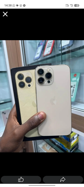 iPhone 13 Pro Max - 256 Go