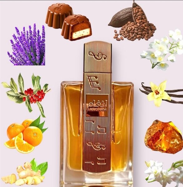 Angham perfume
