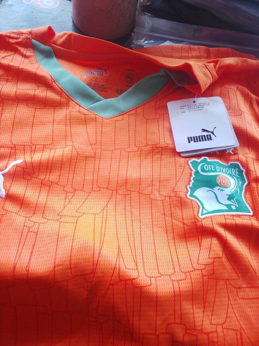 Maillot Côte d'Ivoire Puma
