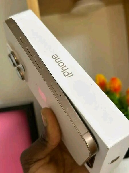 iPhone 14 Pro Max Doré