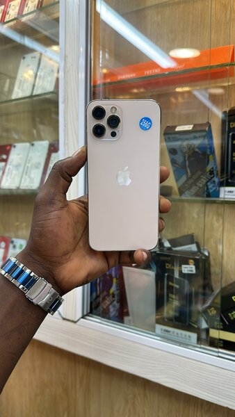 iPhone 12 Pro Max 256Go