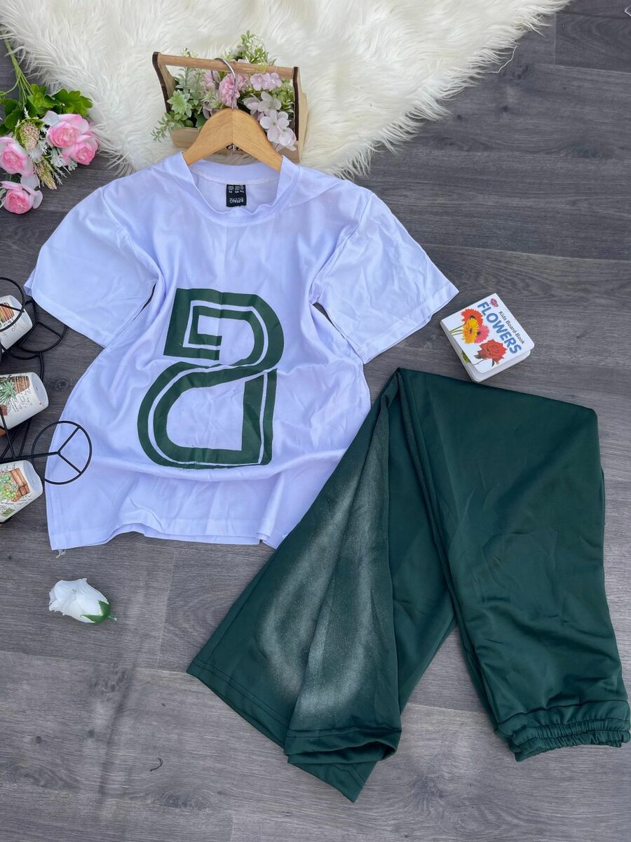 Ladies top and Trouser