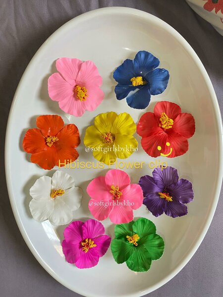 Clips fleurs d'hibiscus colorées