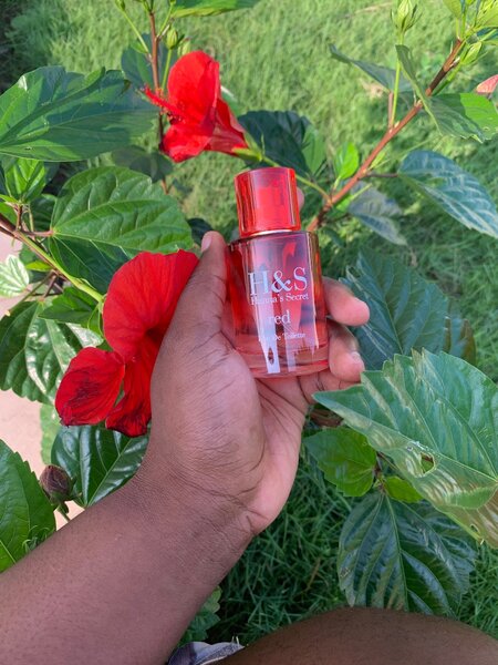 Coffret de Parfums Exquis