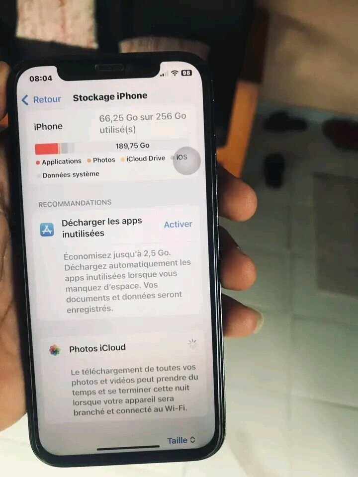 iPhone 12 Pro Max 256Go