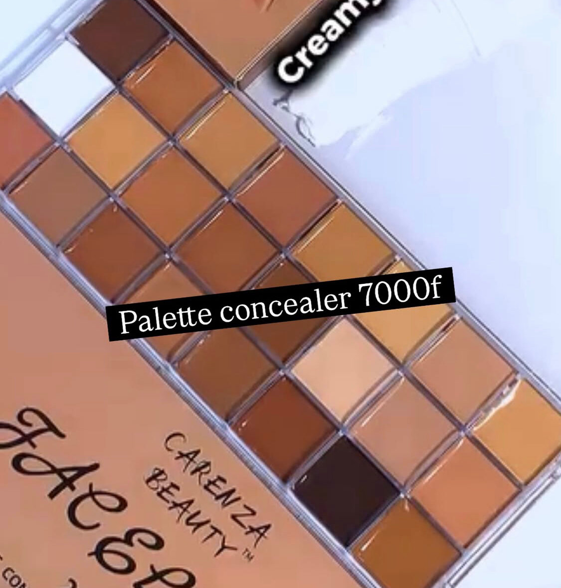 Palette Correcteurs Carenza