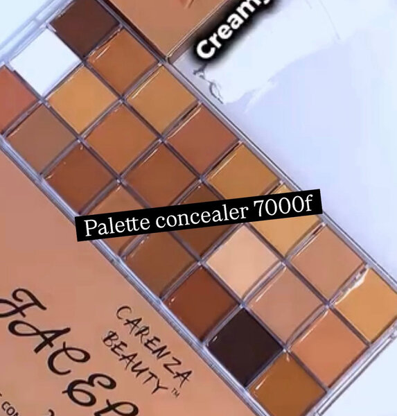 Palette Correcteurs Carenza
