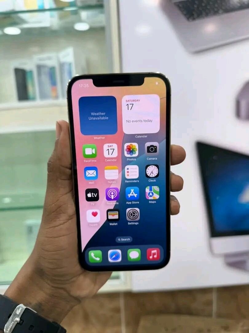 iPhone 13 Pro Max Gold