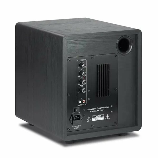 8 inches 300 watts high power active sub woofer