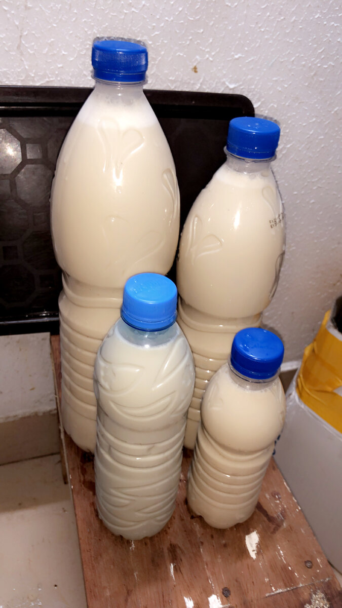 Boisson naturelle de noix tigrées