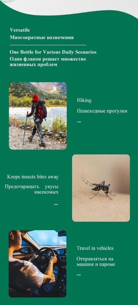 Camphor Tree Essential Oil