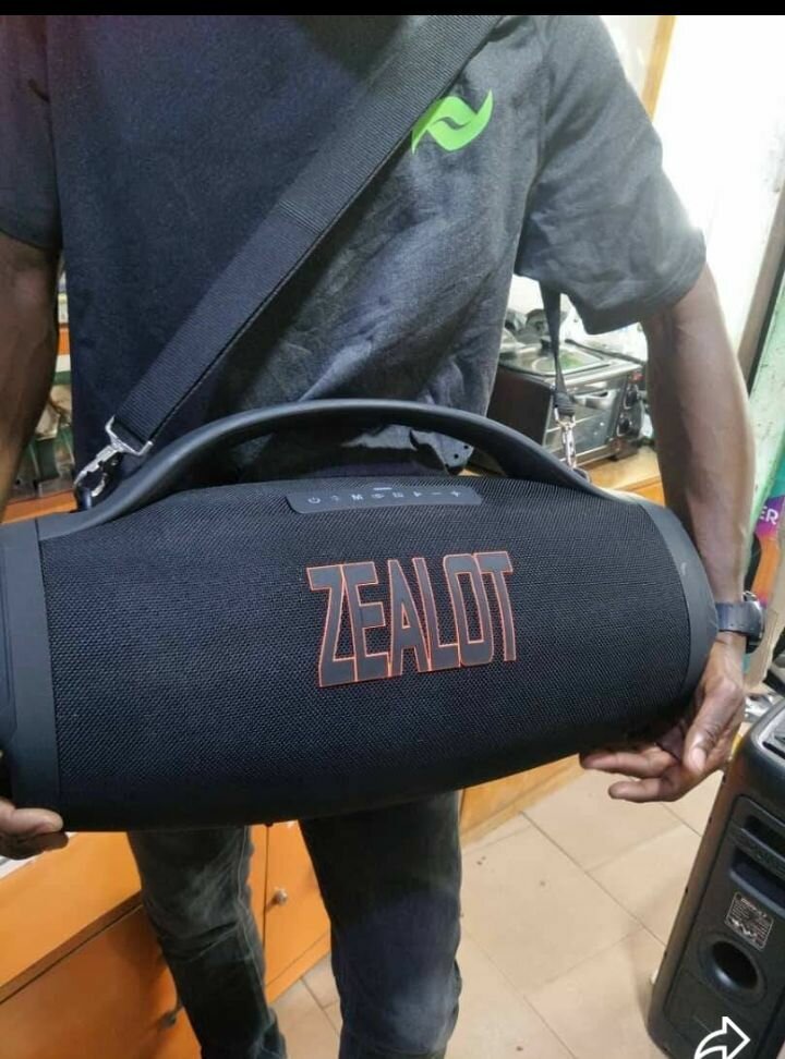 Enceinte Portative ZEALOT