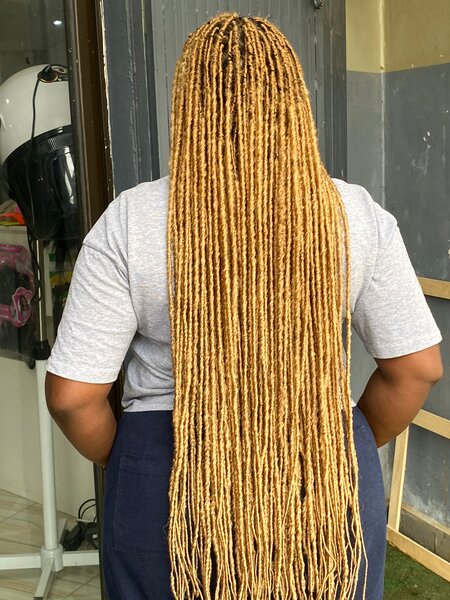 Locks la coiffure à 50.000 fr