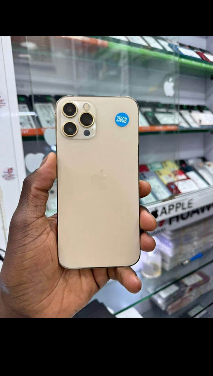 Smartphone Apple 256Go