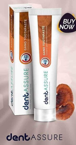 Dent assure dentifrice au ganoderma
