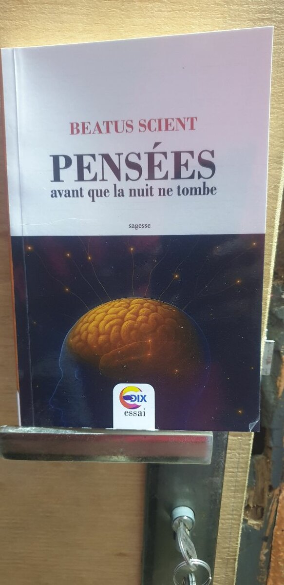 Pensées, avant que la nuit ne
