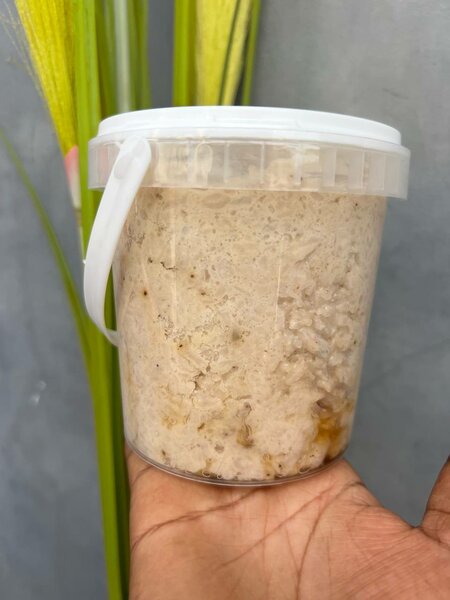 Savon au Lait Nourrissant