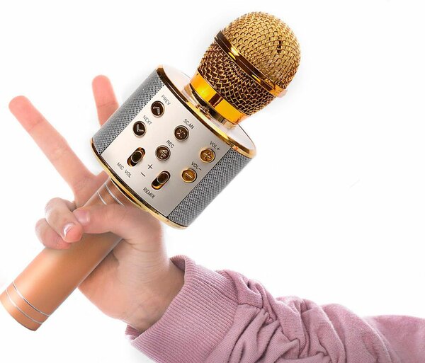 Микрофон для детей