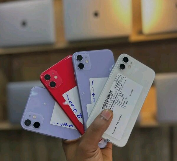 iPhone 11 - Couleurs Variées