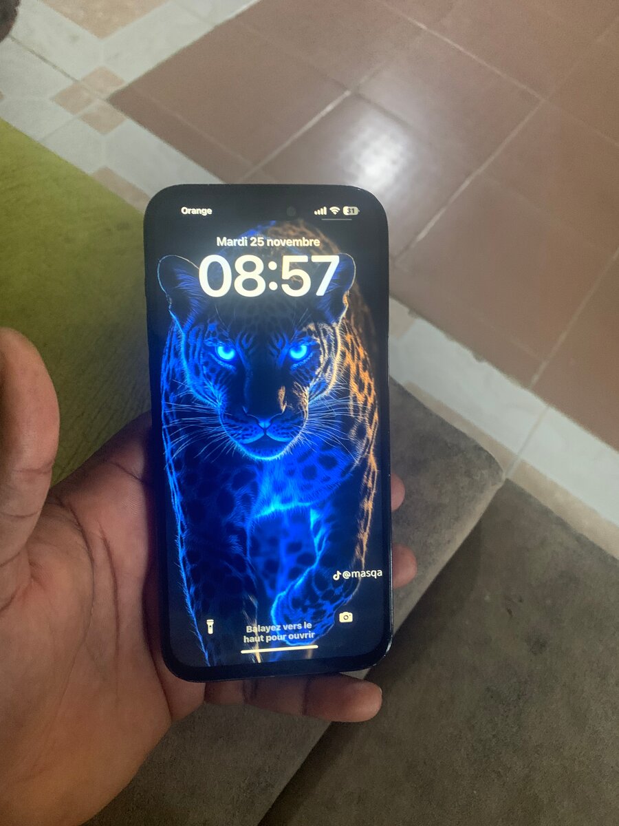 iPhone 14 Promax tous passe