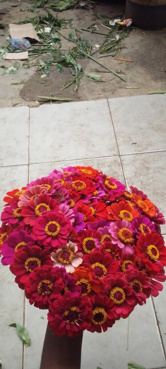Bouquet vibrant de Zinnias