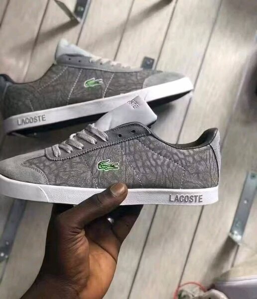 Baskets Lacoste homme grises