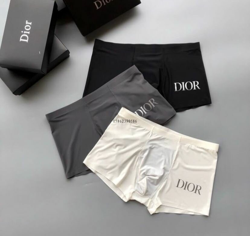 Boxer homme dior