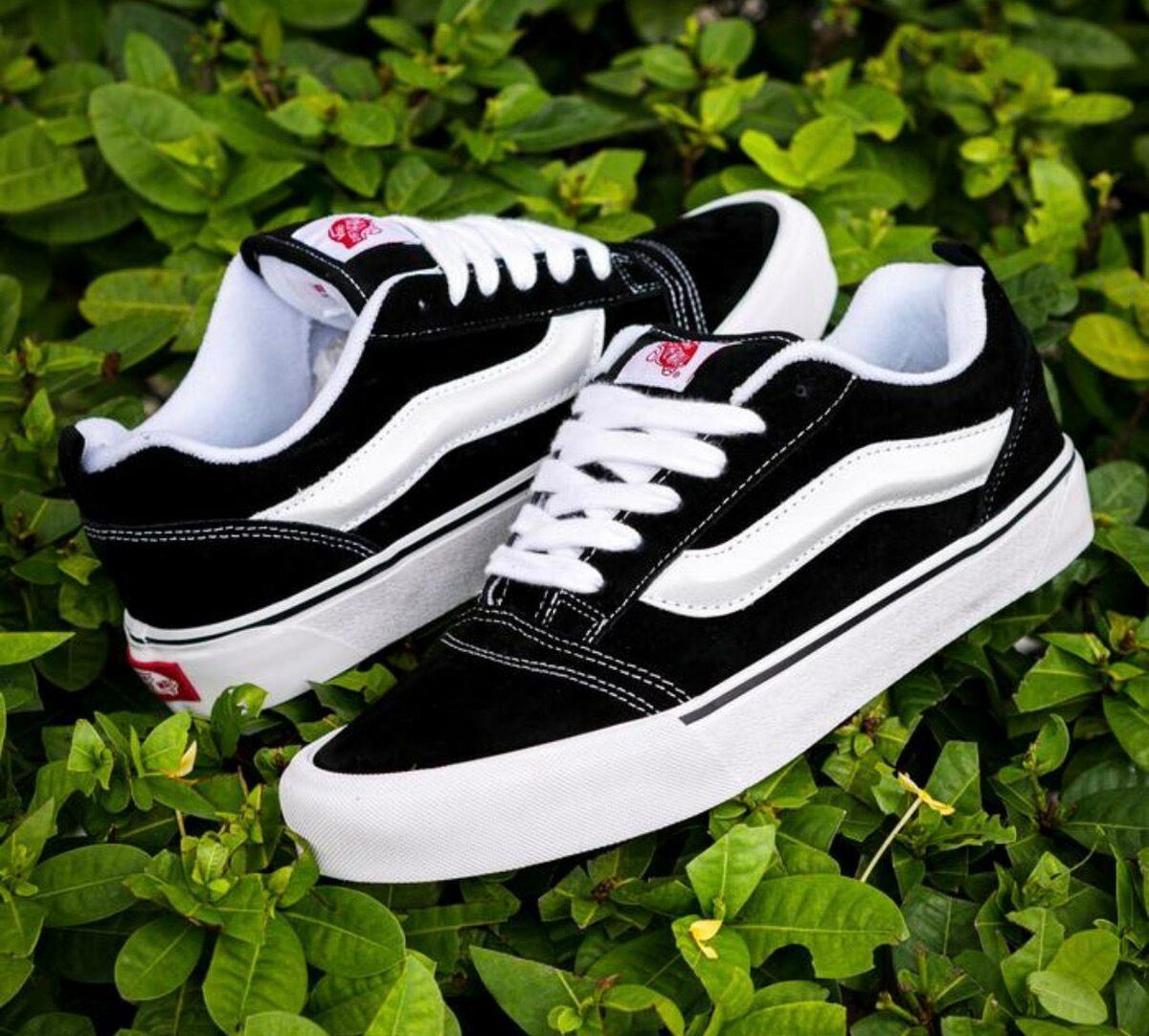 Baskets Adidas Campus