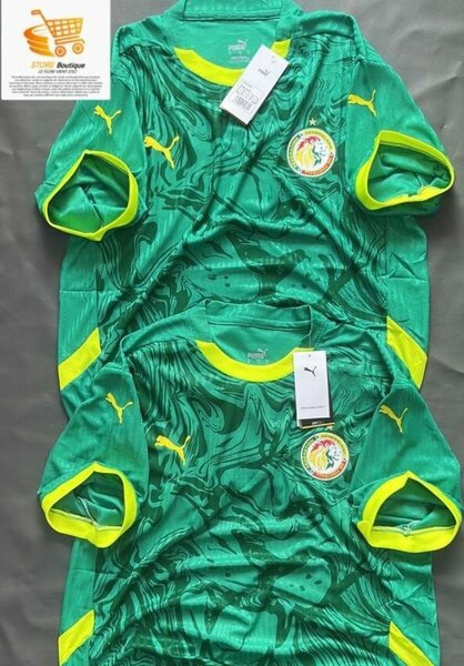 Maillot Puma Sénégal Homme