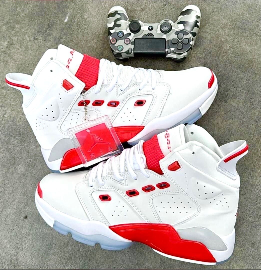 Air Jordan 6