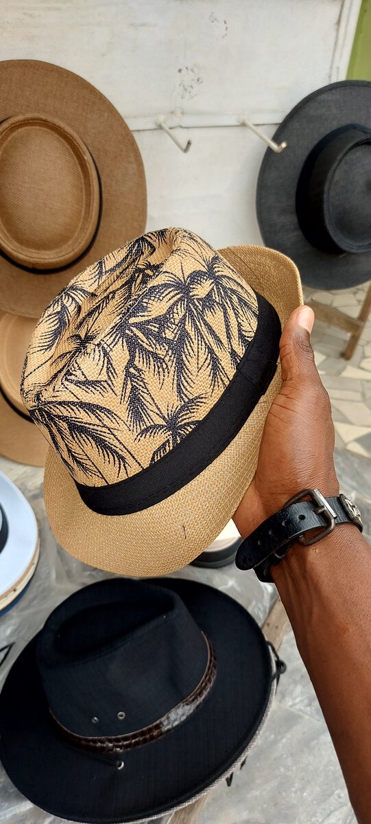 Chapeaux Fedora élégants