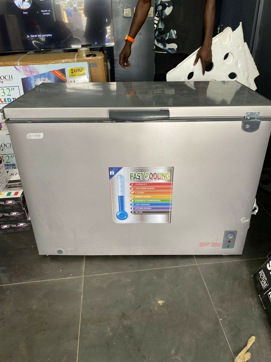 Congélateur Coffre Silver