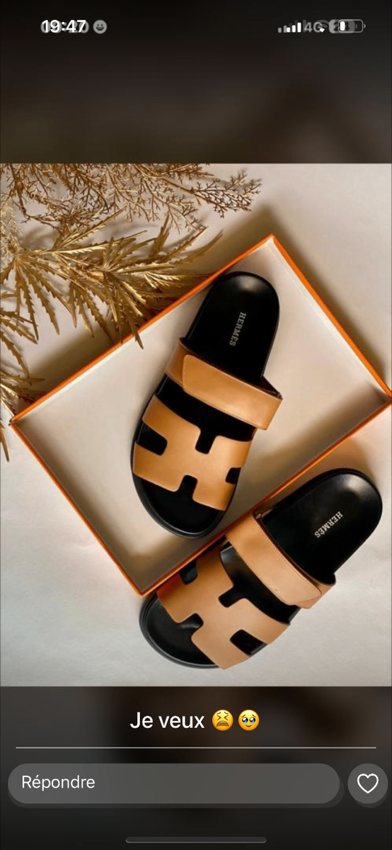 Sandales en cuir élégantes