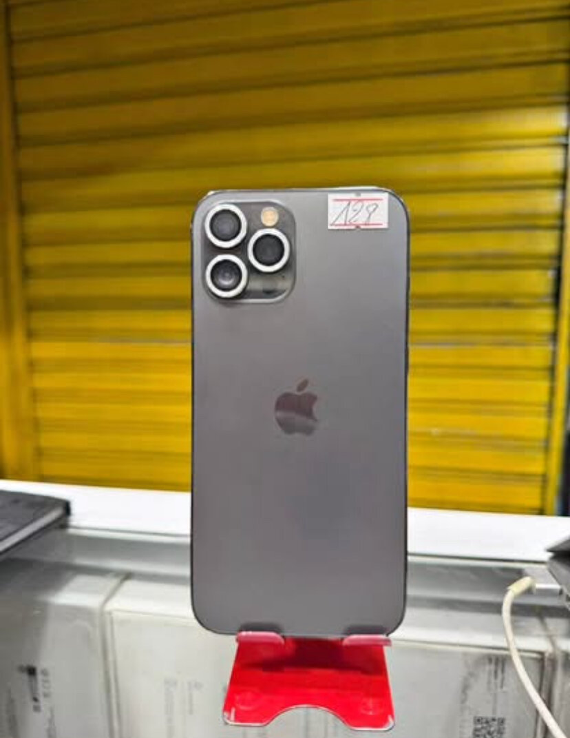 iPhone 13 Pro Max Gris