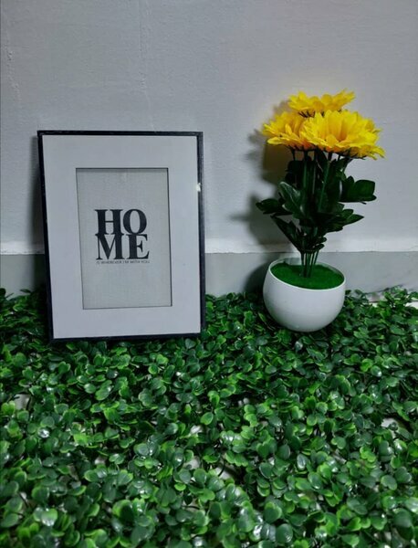 Plante déco et cadre «HOME»