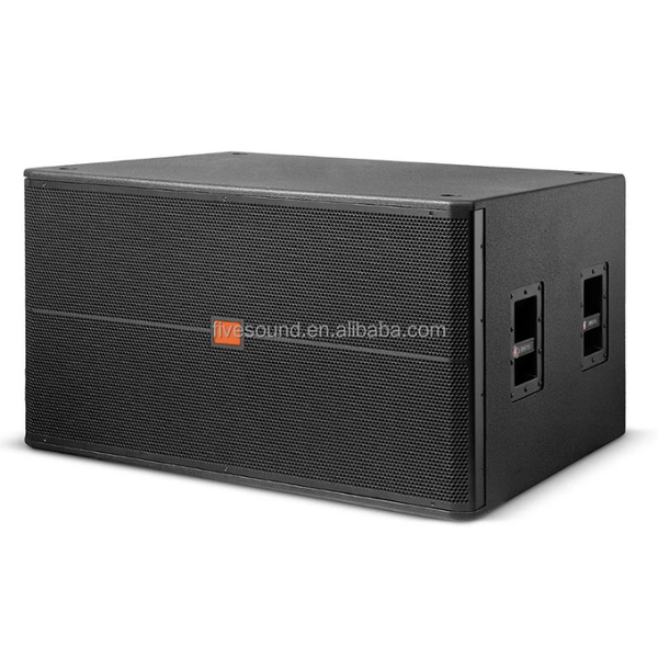 Puissant Subwoofer Professionnel