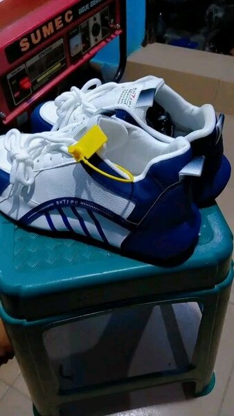 Chaussures Adidas blanches et bleues