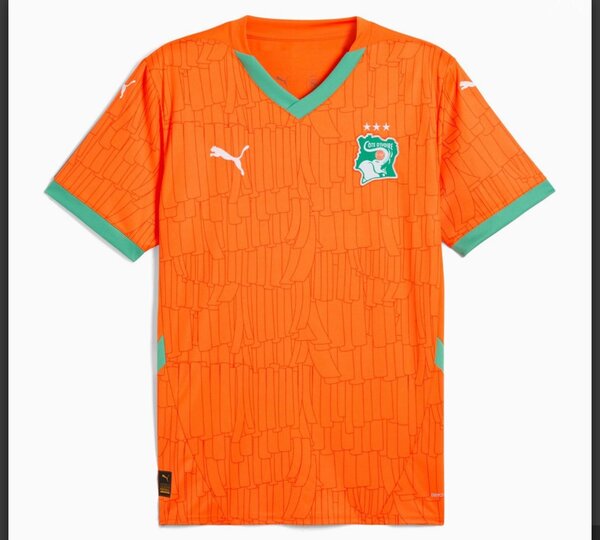 Maillot Côte d'Ivoire Puma