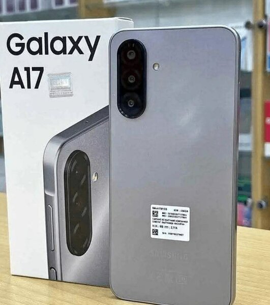 Samsung Galaxy A17 Gris