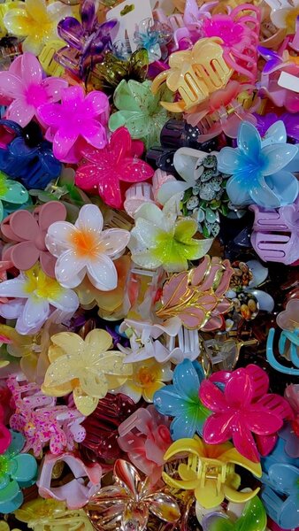 Clips à Cheveux Fleurs Colorées