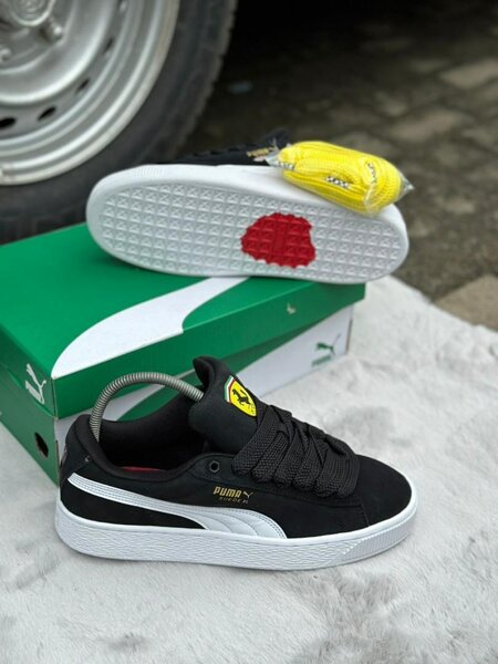 Puma gros lacet
